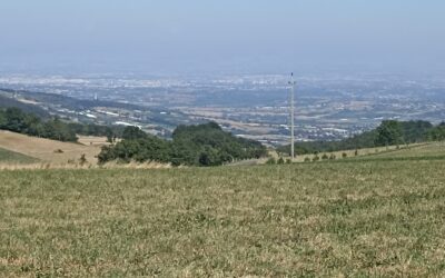 Monts du Lyonnais