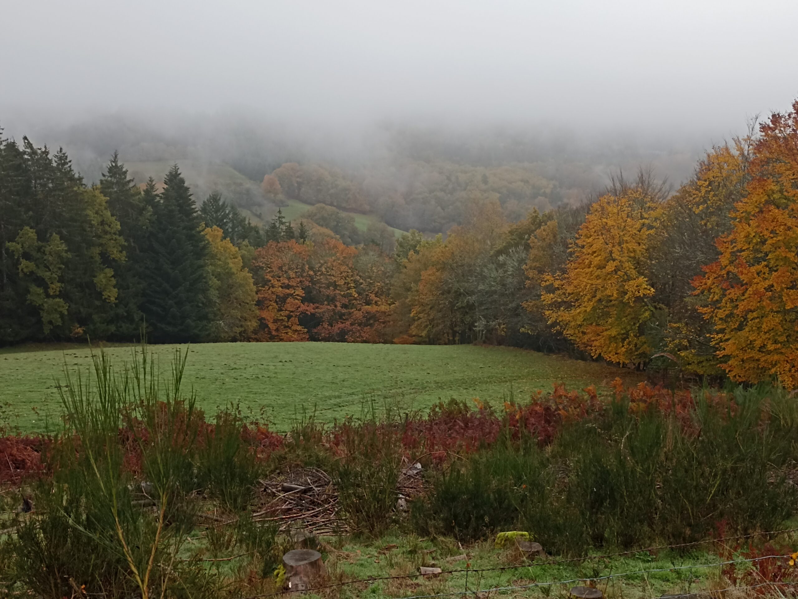 Parc naturel de millevaches