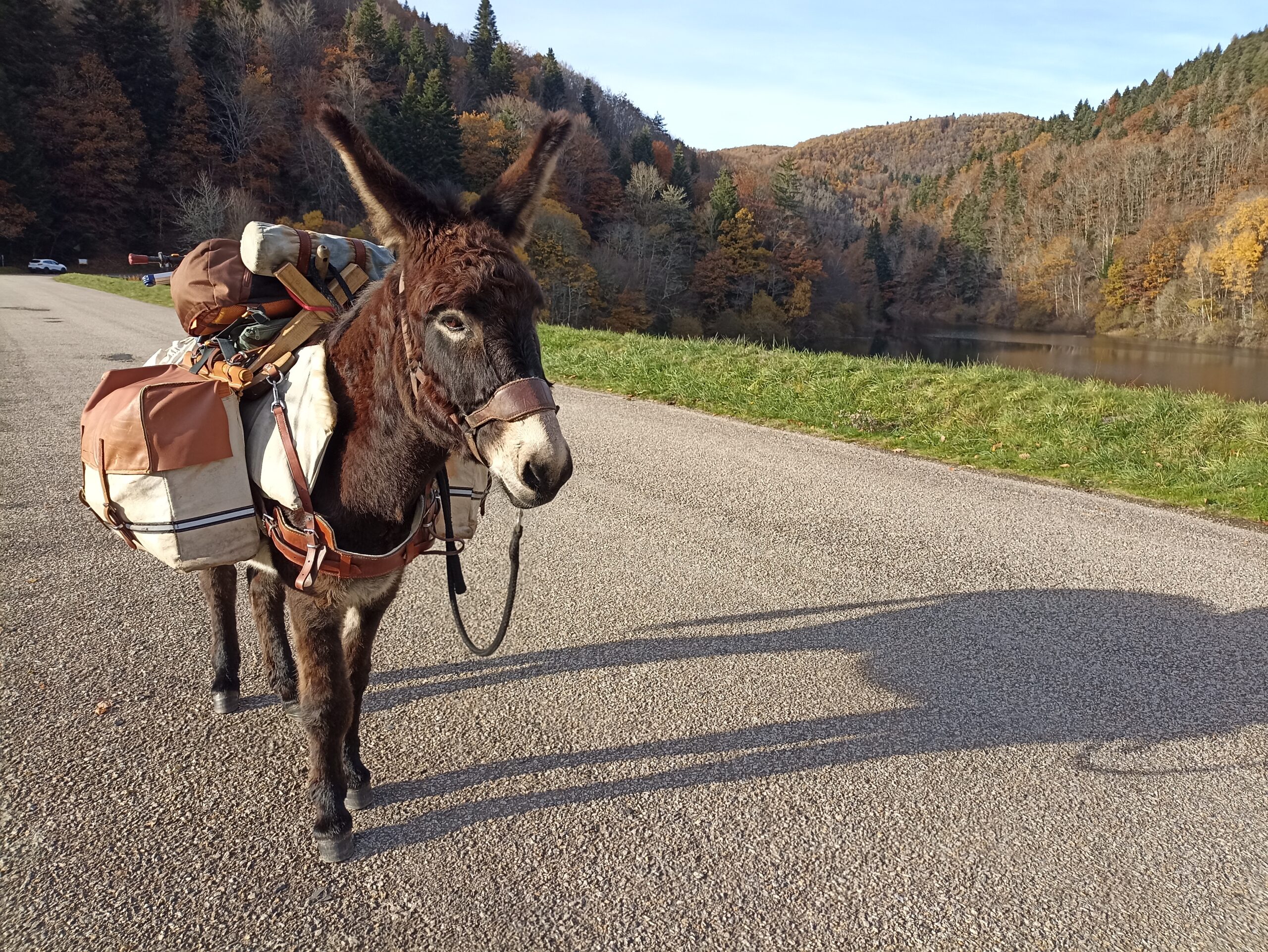 Puy-de-Dôme