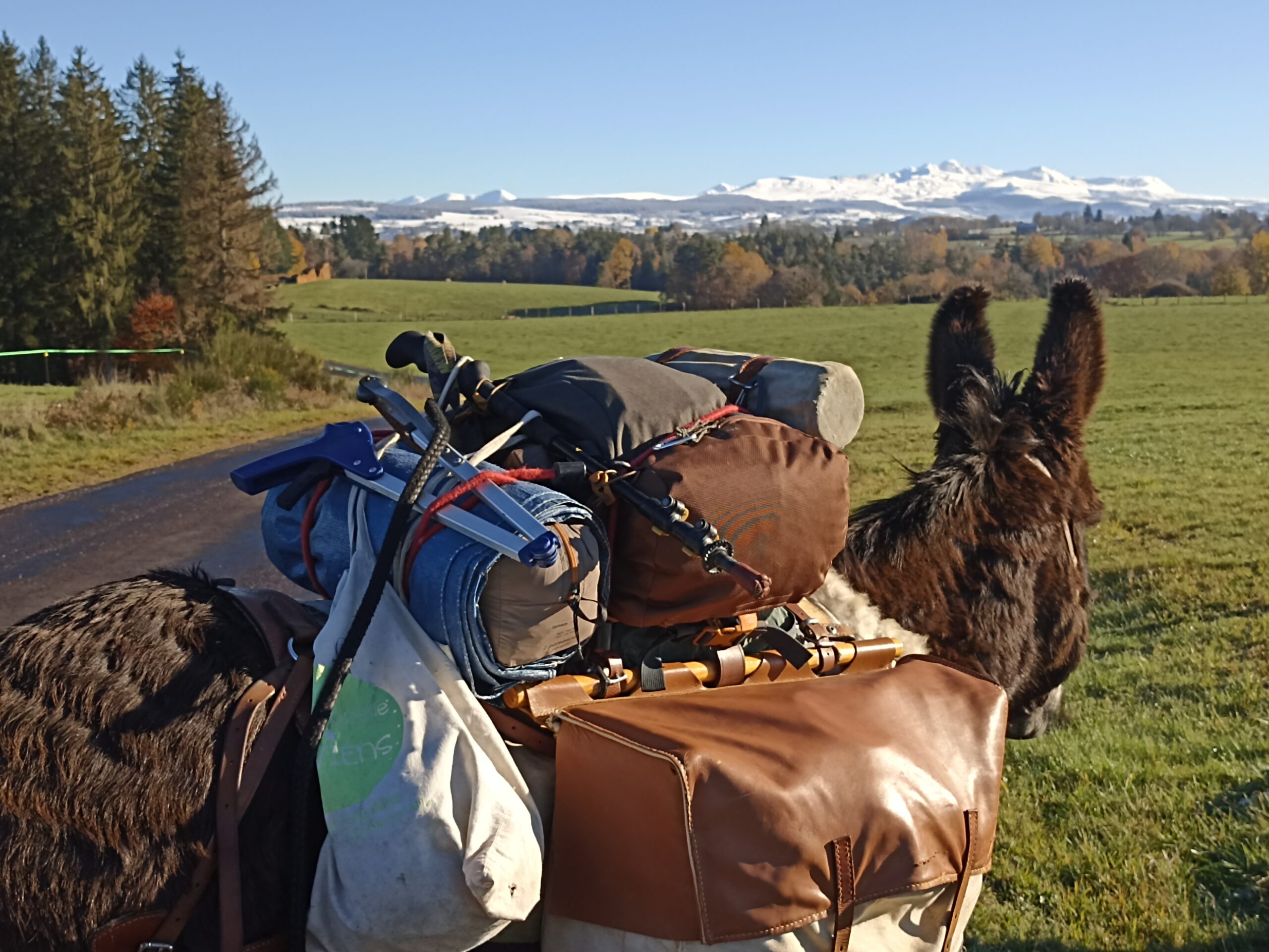 Parc des volcans d’Auvergne