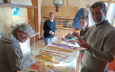 Formation « fabriquer son licol »